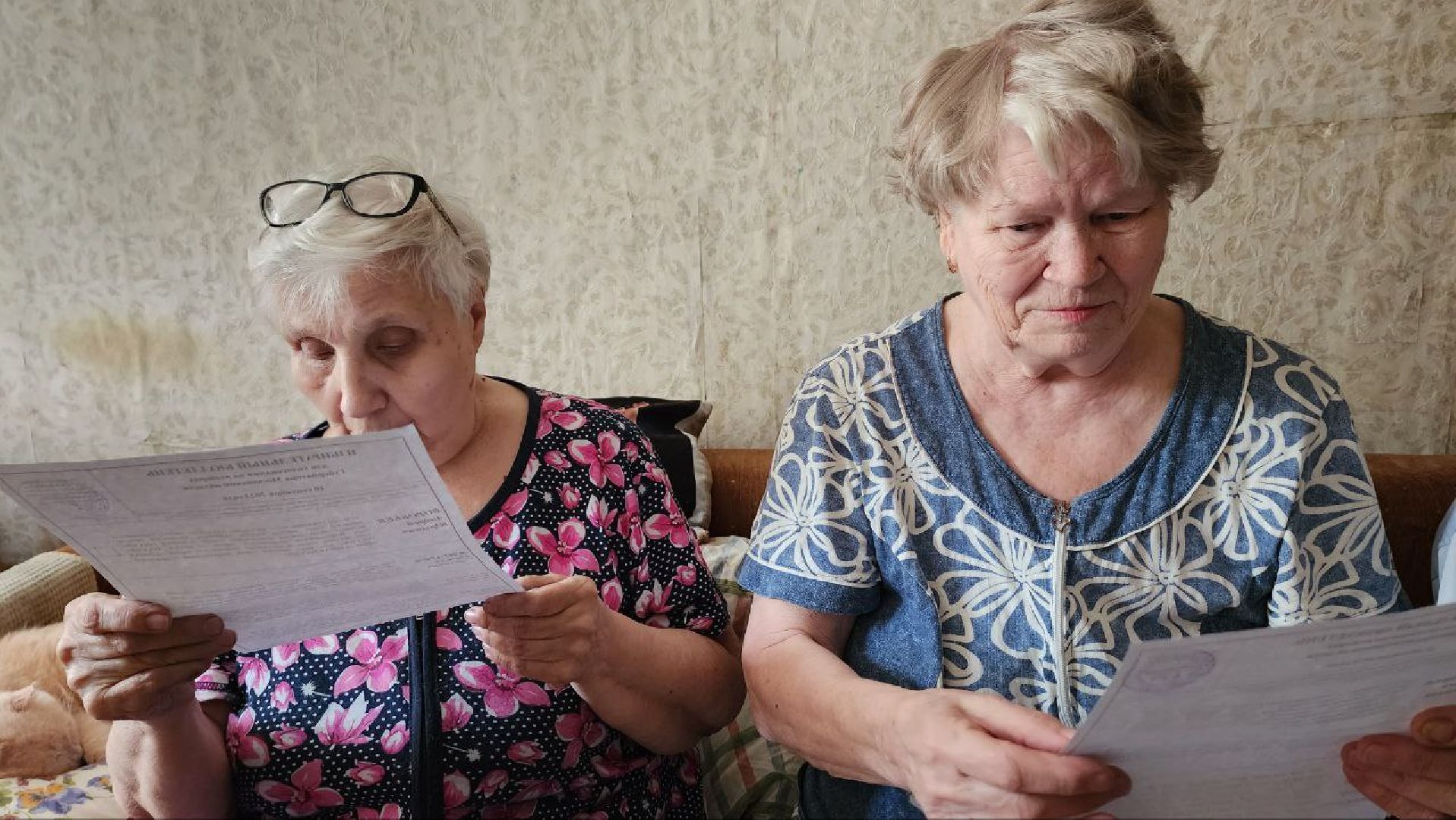 Дмитров, Выборы 2023, Губернатор