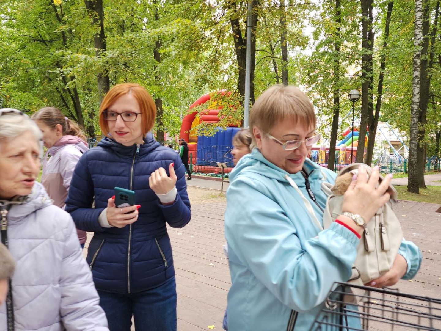 животные, пристройство, волонтер, видное, помощь,