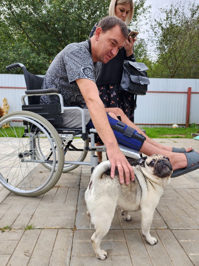 Серебряные Пруды, выборы 2023