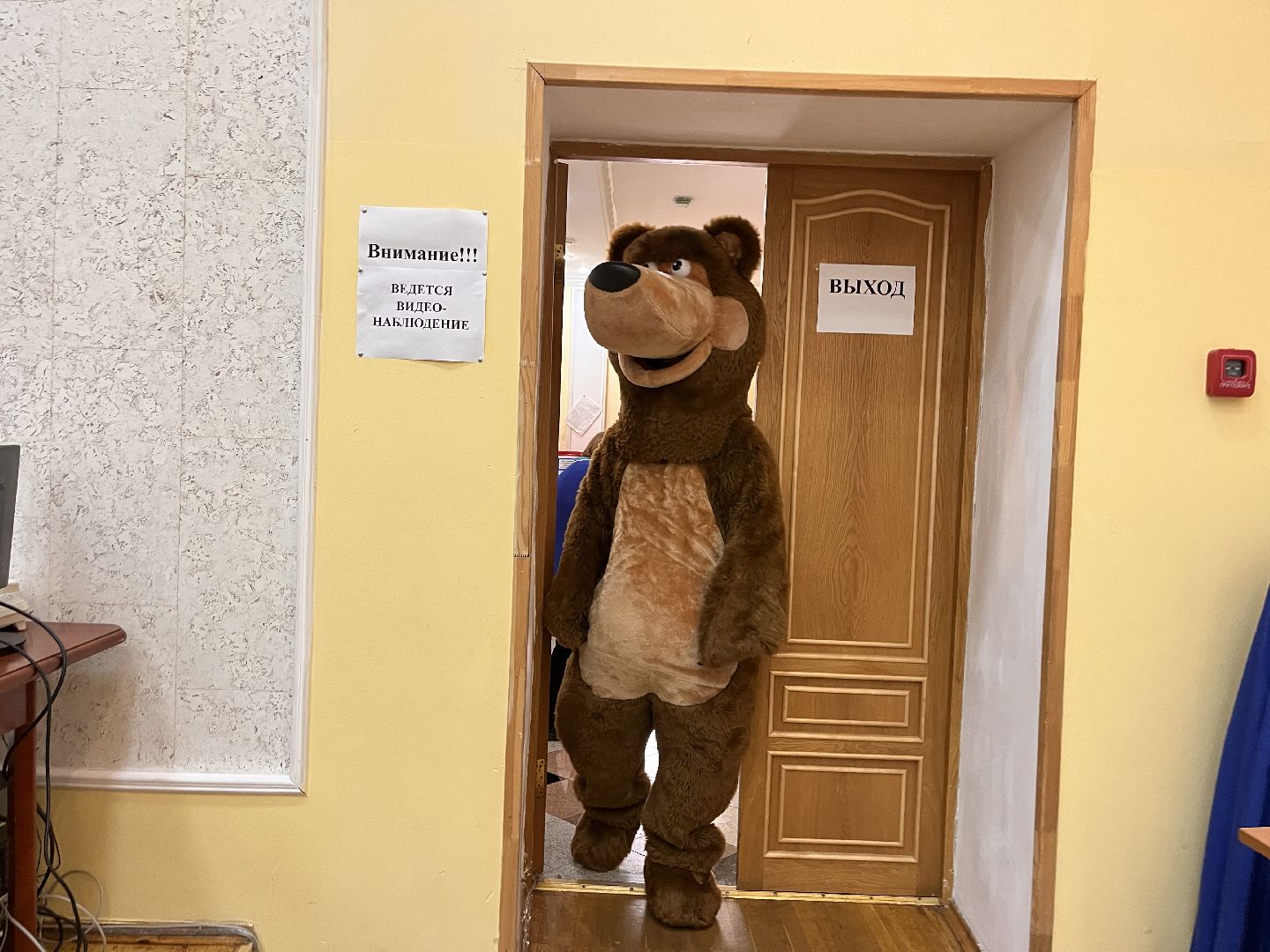 Шаховская, выборы, выборы 2023, выборы губернатора, выборы губернатора московской области,