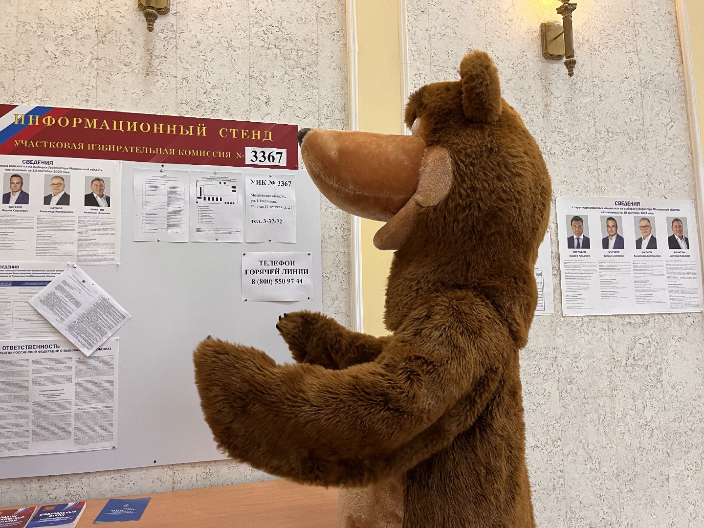 Шаховская, выборы, выборы 2023, выборы губернатора, выборы губернатора московской области,