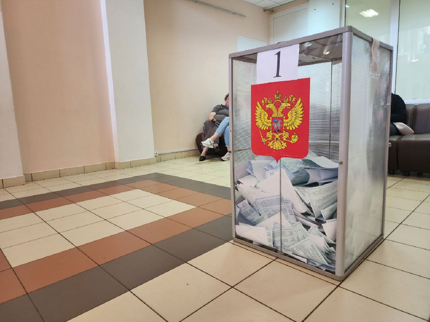 Голосование, выборы, Истра