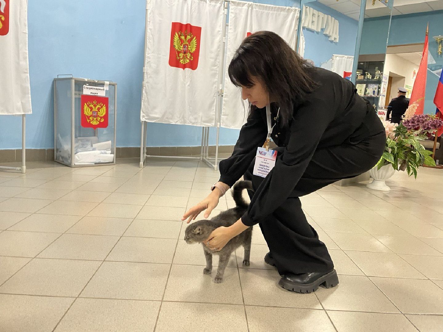 Волоколамск, выборы губернатора московской области, кошка Машка