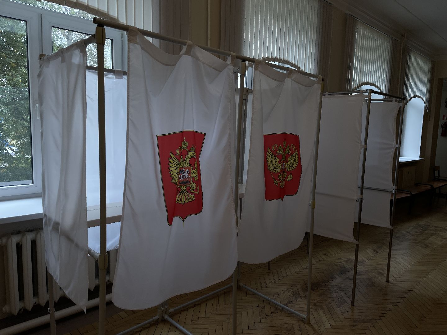 Выборы, голоса, избиратели, депутат