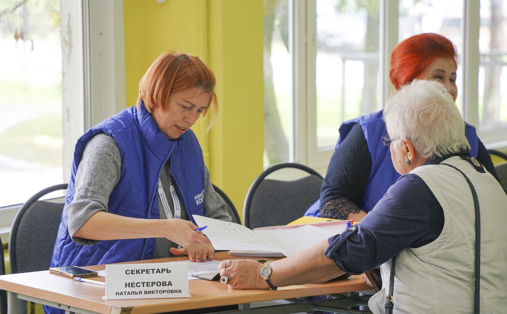 Выборы 2023, Домодедово