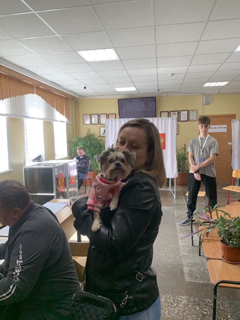 выборы 2023, губернатор московской области,