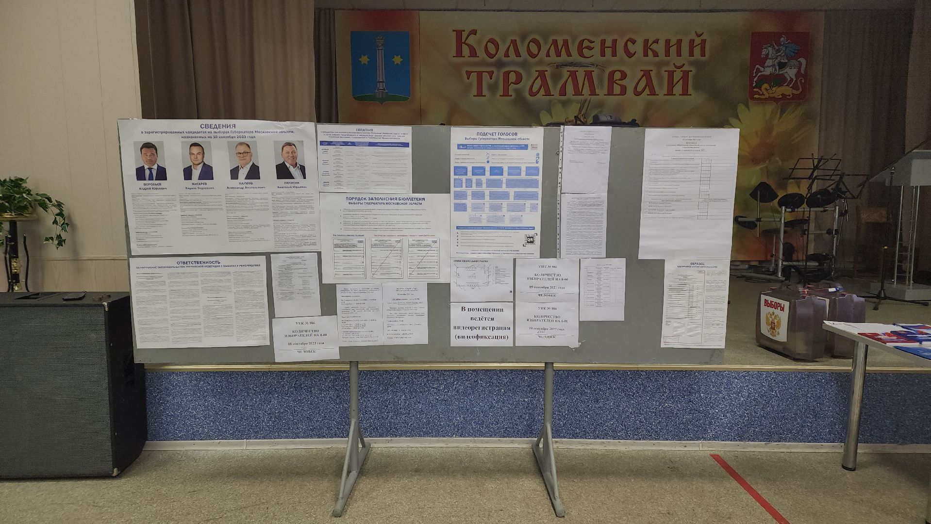 Коломна, выборы, губернатор,