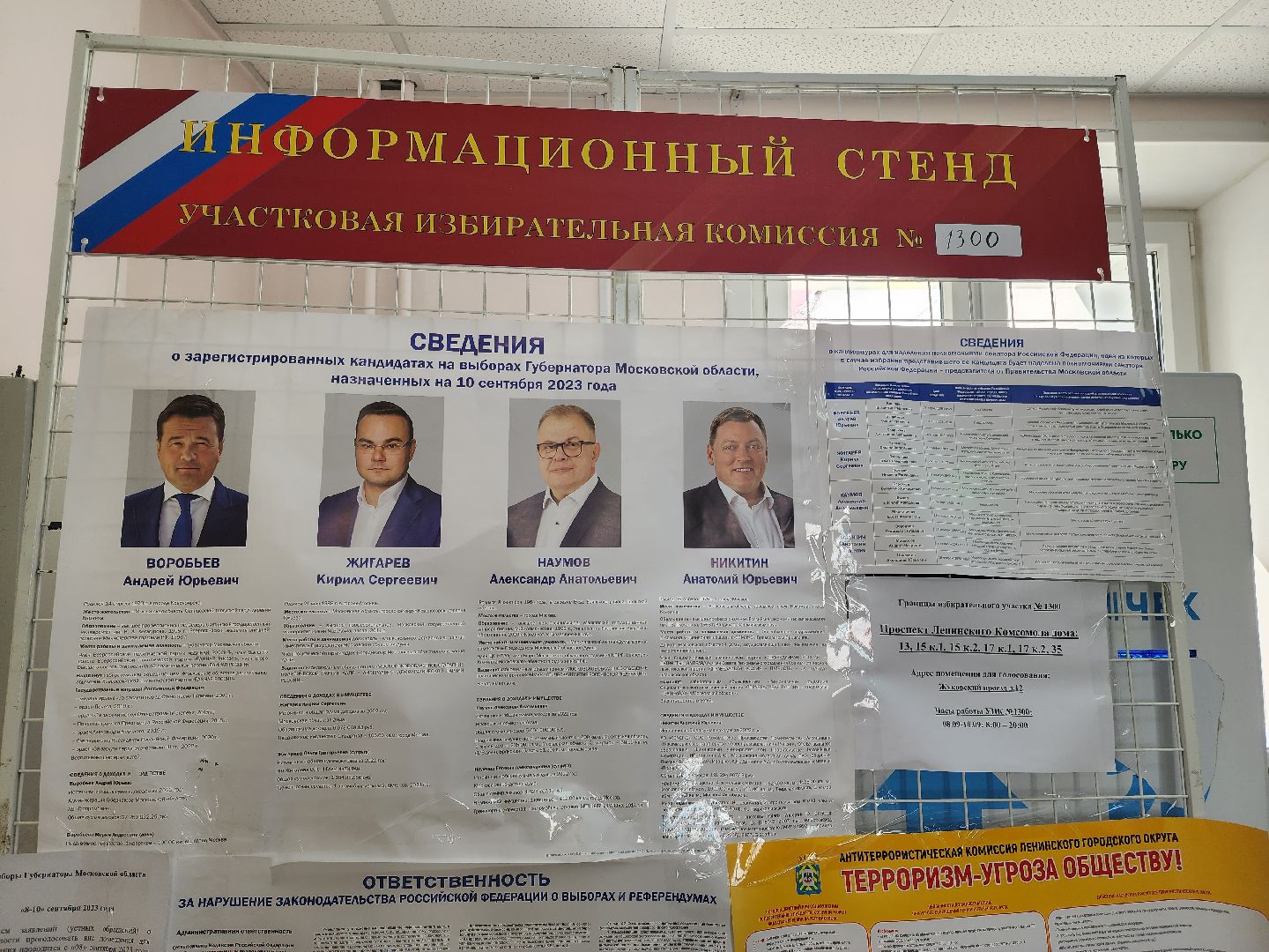 Видное, подмосковьевыбирает2023, выборы губернатора московской области, избиратели