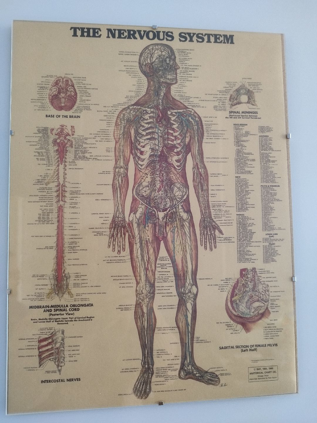 Истра, медицина, томограф, больница, врач