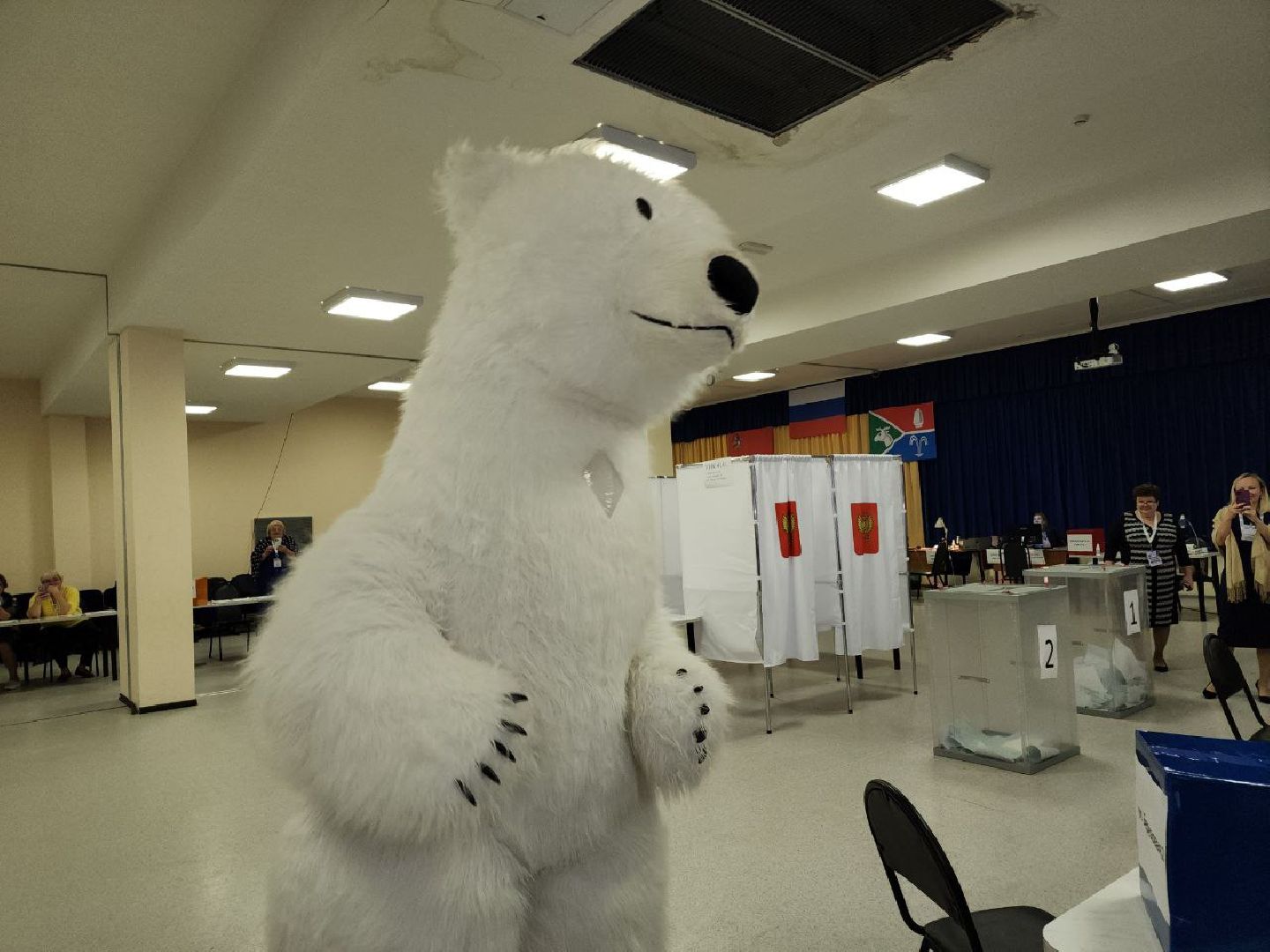 выборы 2023, выборы губернатора, выборы депутатов, Лосино-Петровский