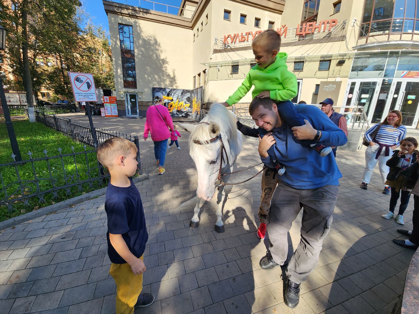 Одинцово, звенигород, выборы, едг 2023, лошадь, терская порода, легенда, конный клуб, анашкино, иппотерапия