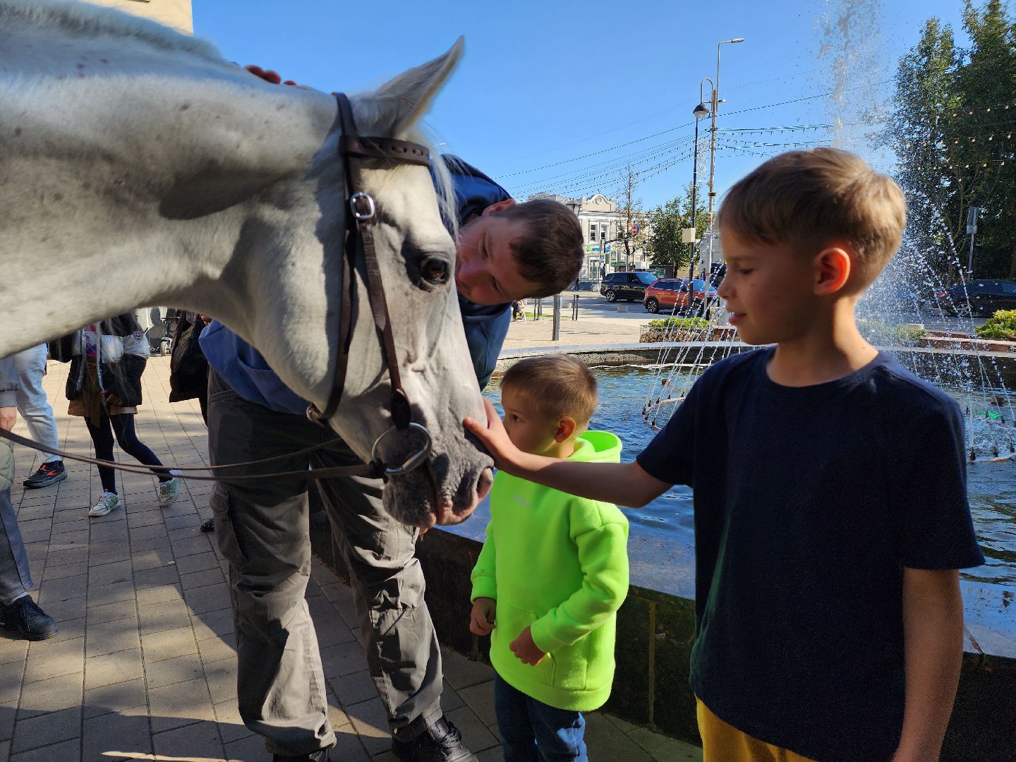 Одинцово, звенигород, выборы, едг 2023, лошадь, терская порода, легенда, конный клуб, анашкино, иппотерапия