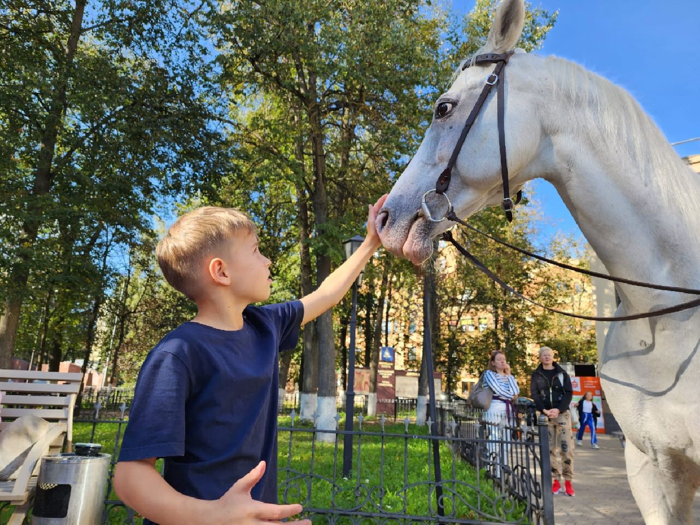 Одинцово, звенигород, выборы, едг 2023, лошадь, терская порода, легенда, конный клуб, анашкино, иппотерапия