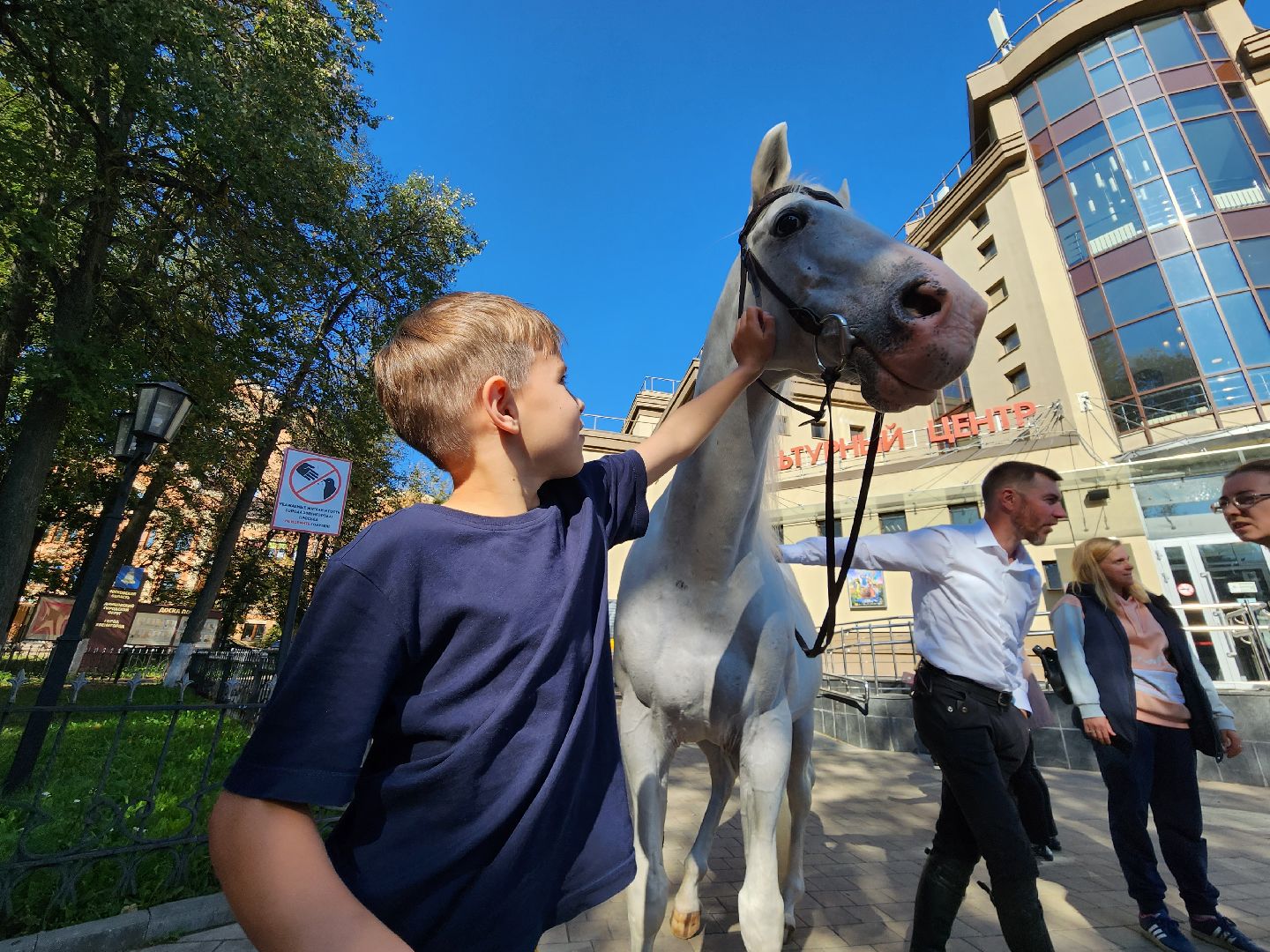 Одинцово, звенигород, выборы, едг 2023, лошадь, терская порода, легенда, конный клуб, анашкино, иппотерапия