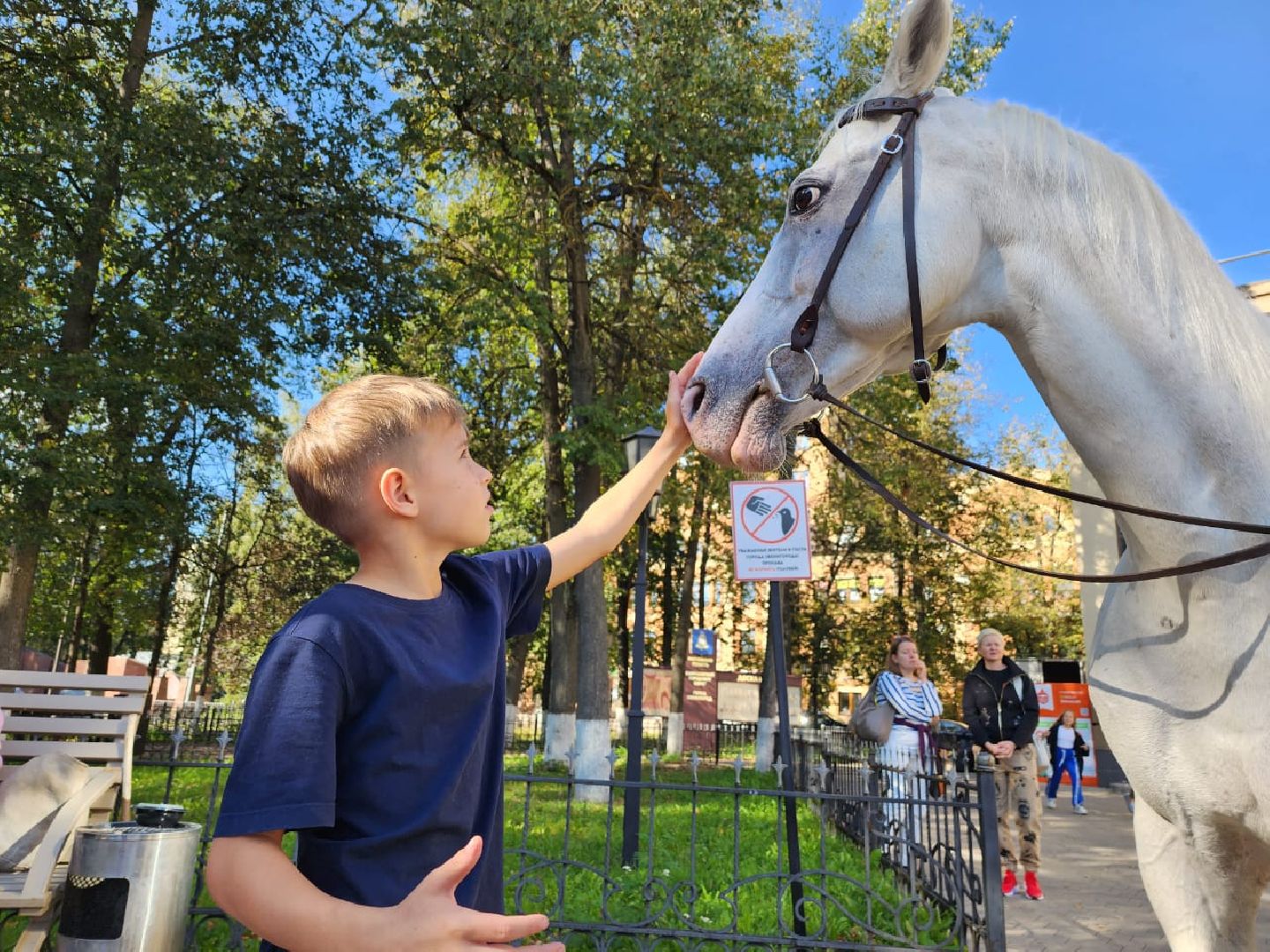 Одинцово, звенигород, выборы, едг 2023, лошадь, терская порода, легенда, конный клуб, анашкино, иппотерапия