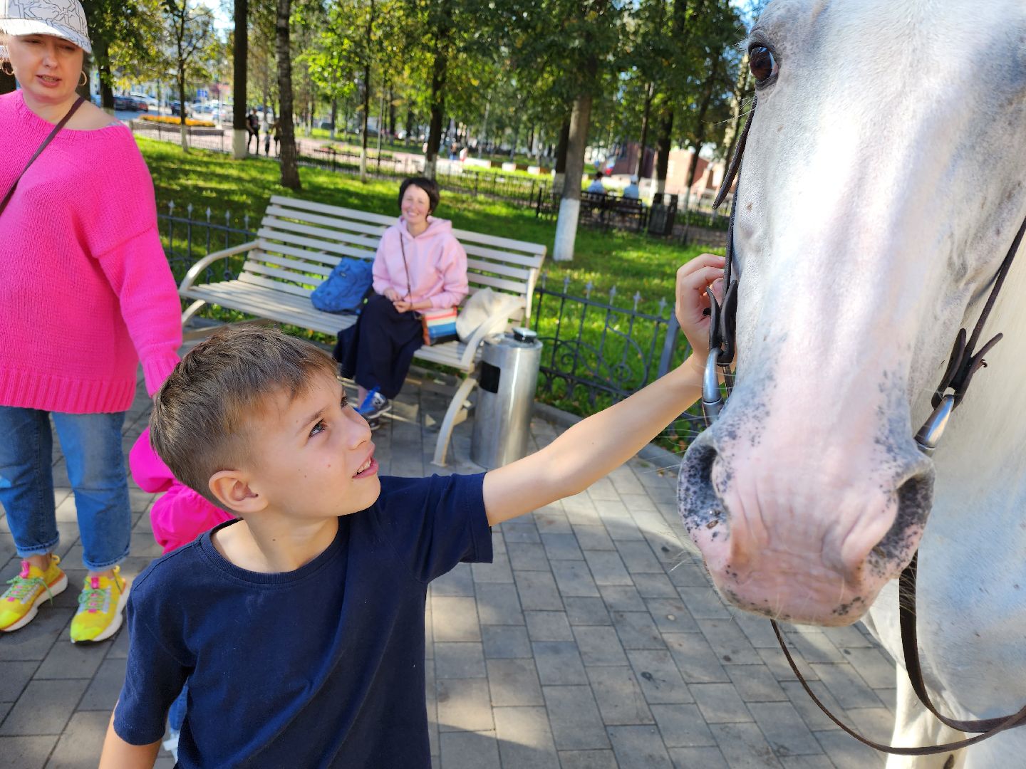 Одинцово, звенигород, выборы, едг 2023, лошадь, терская порода, легенда, конный клуб, анашкино, иппотерапия