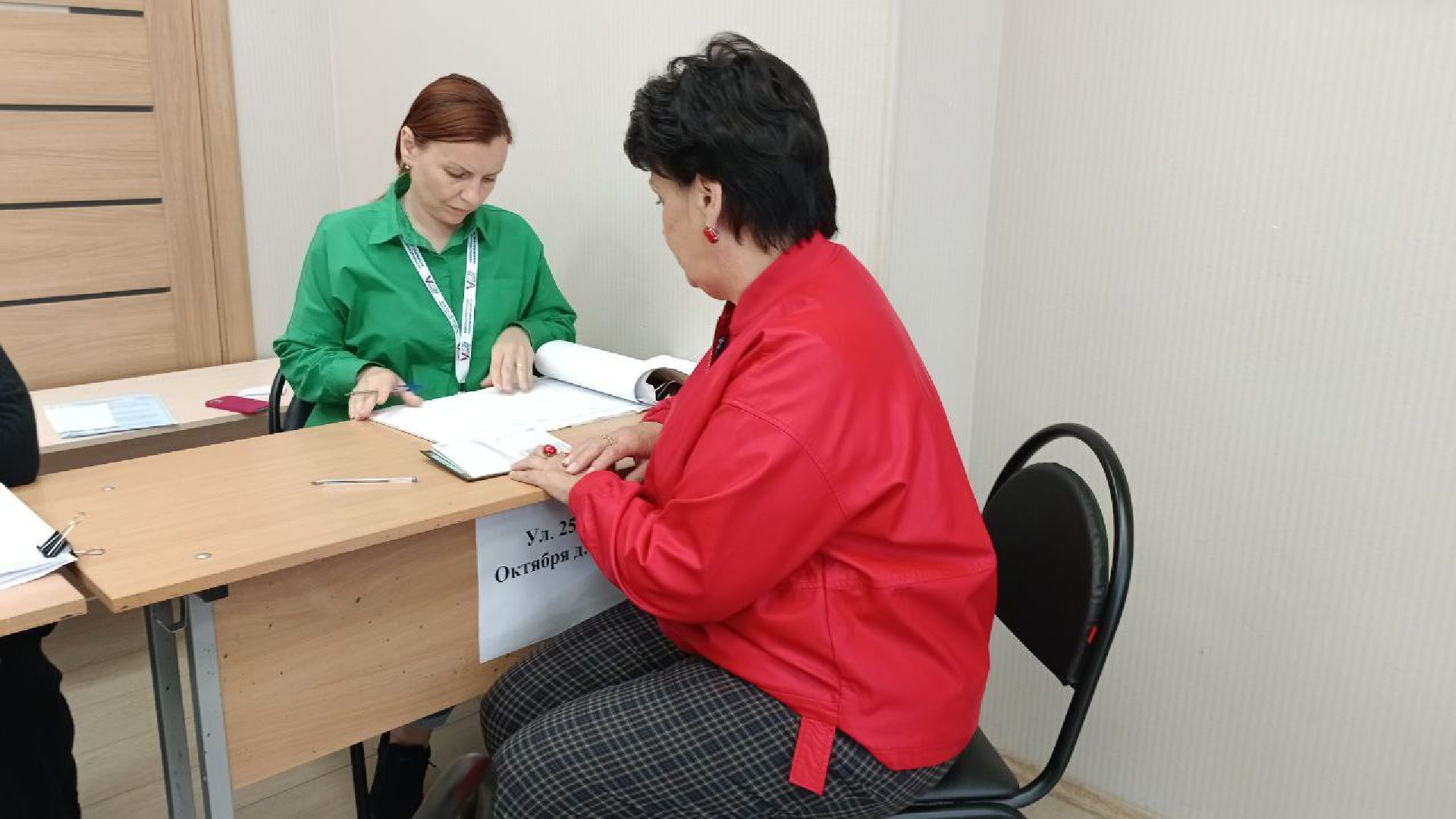 Выборы 2023, Домодедово