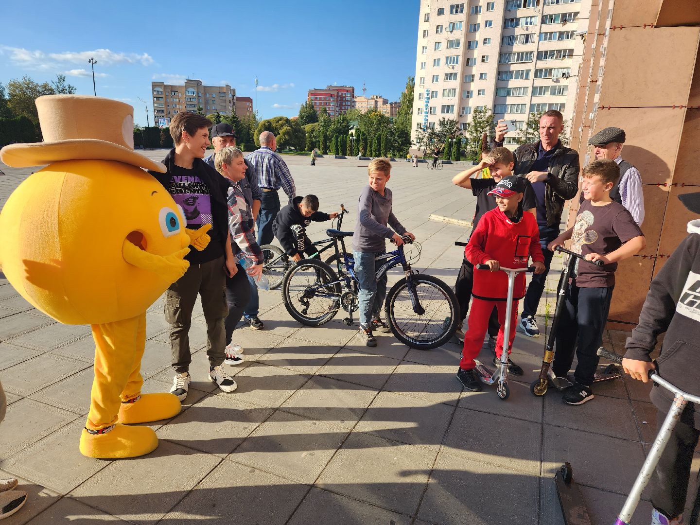 Голосование, выборы, колобок