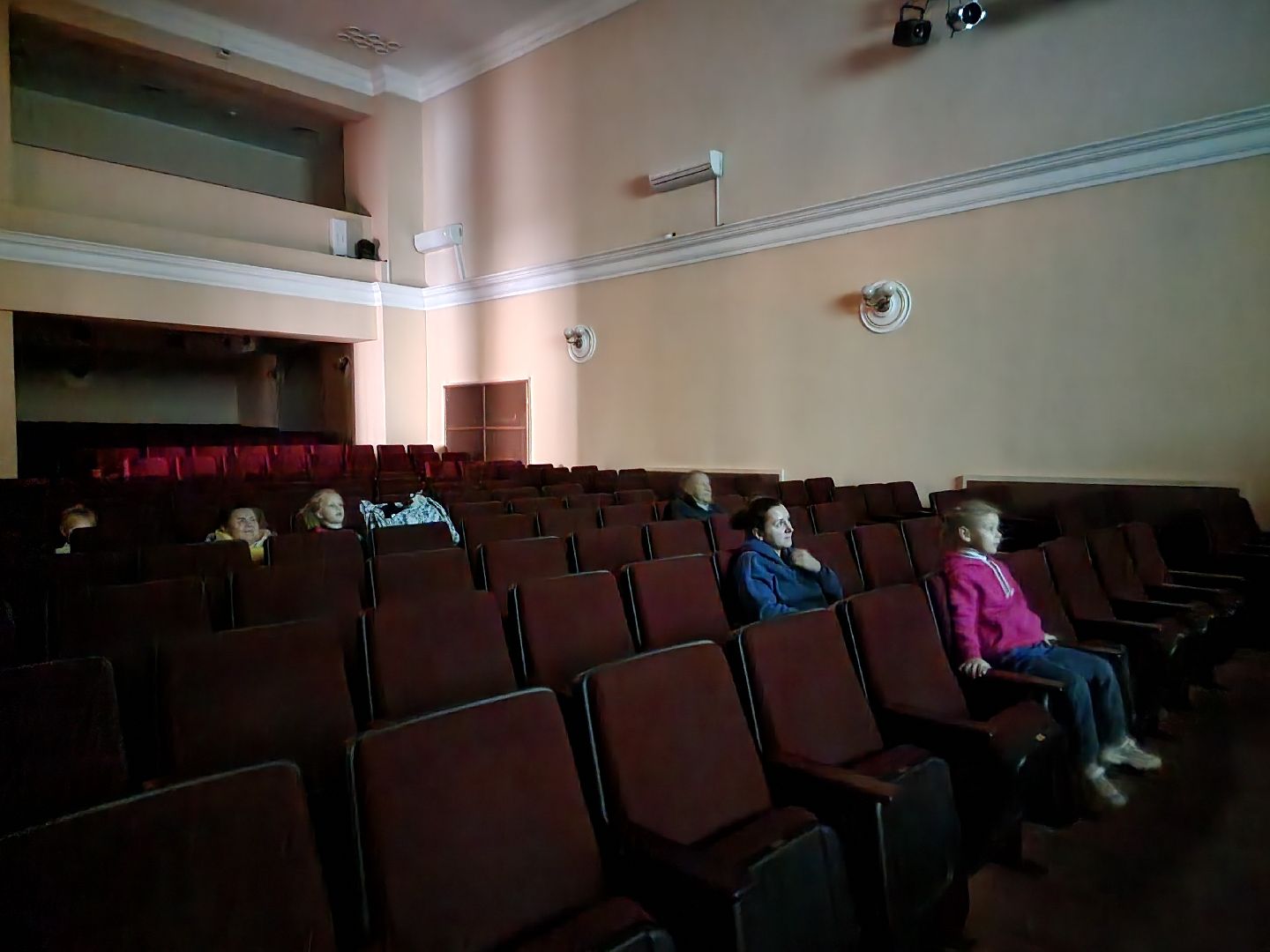 пушкино, выборы, выборы губернатора, молодежь, дети,