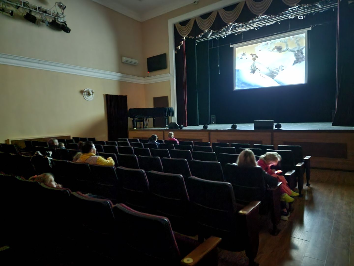 пушкино, выборы, выборы губернатора, молодежь, дети,