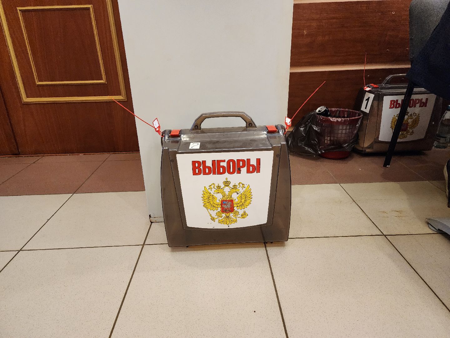 пушкино, голосование, выборы 2023, ветеран труда,