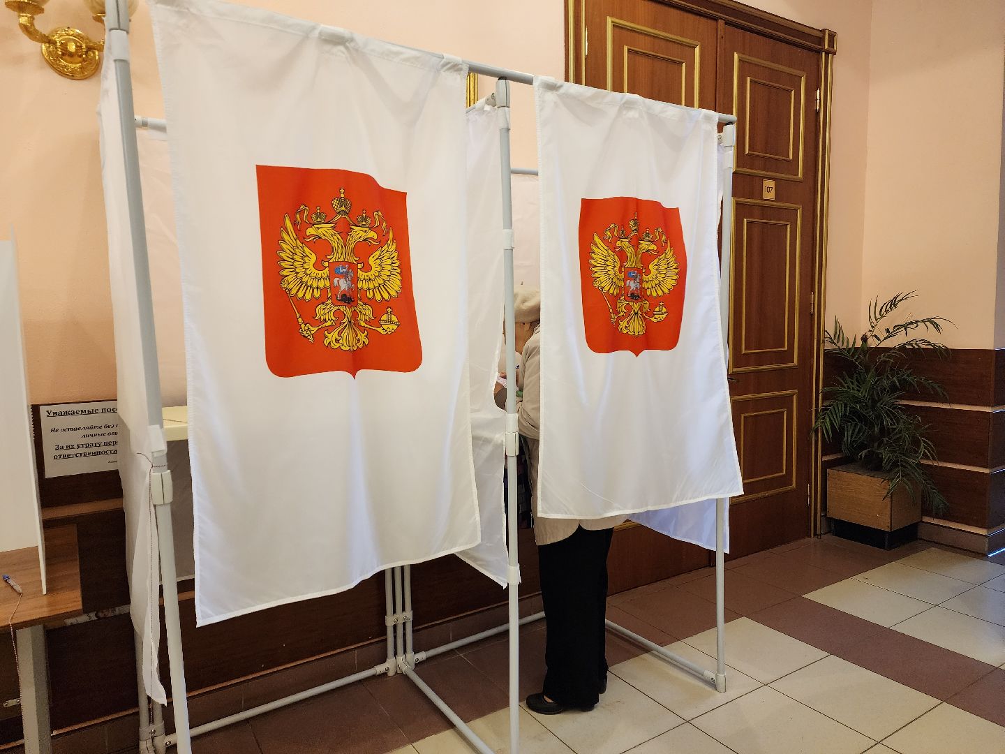 пушкино, голосование, выборы 2023, ветеран труда,