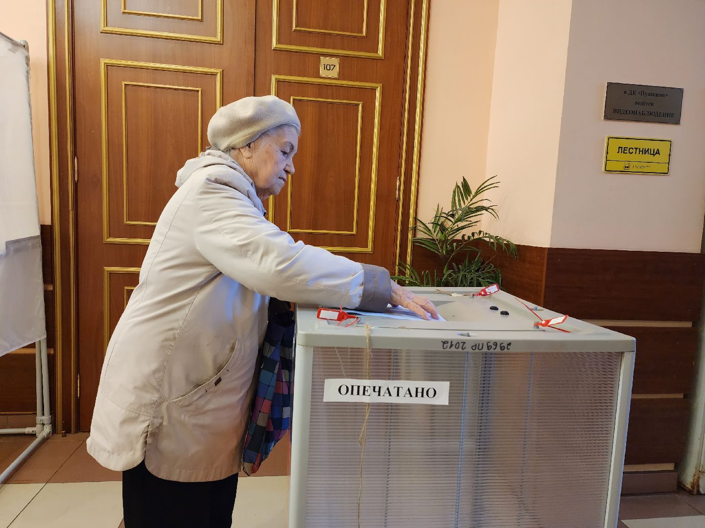 пушкино, голосование, выборы 2023, ветеран труда,