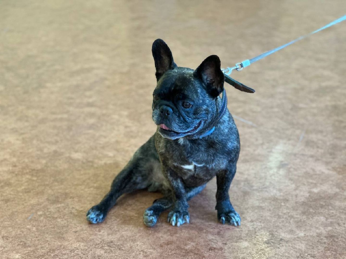 ПодмосковьеВыбирает2023, ЕДГ2023, Можайск, Можайский городской округ, Подмосковье, выборы, губернатор, Совет депутатов, жители, избиратели