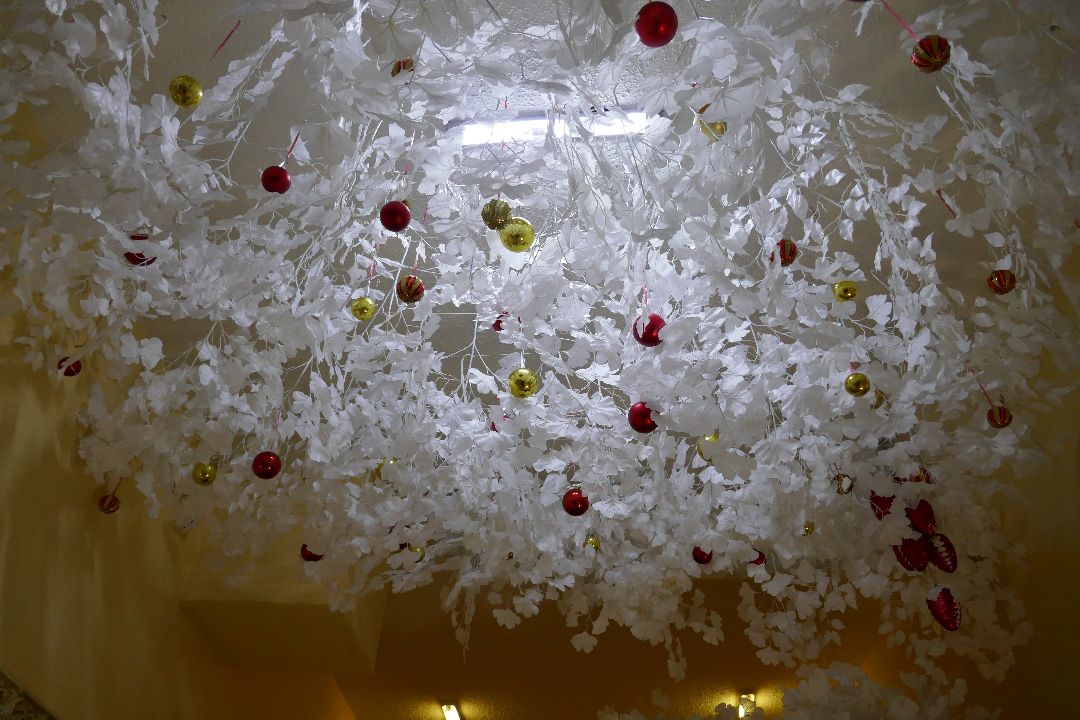 Подольск, общество, подъезд