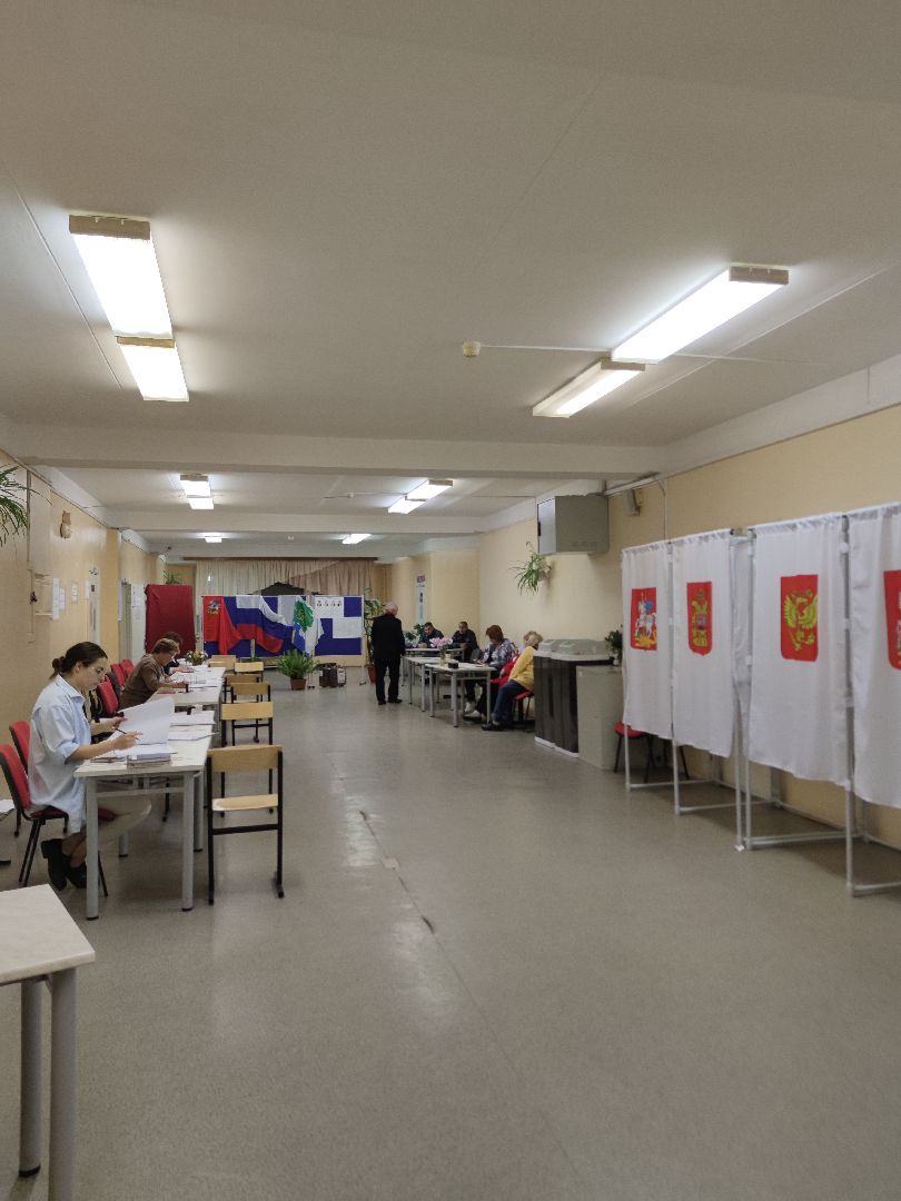 Предприниматель, выборы, бизнес, последний день голосования, общественный наблюдатель, Дубна
