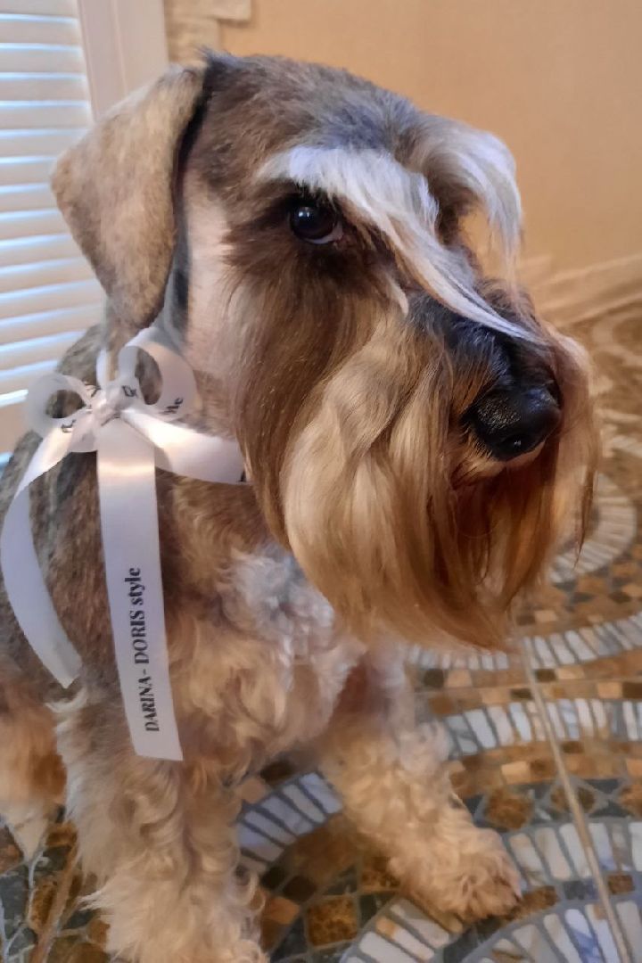 #Рошаль#БольшаяШатура#ОдеждаДляЖизни#СКЦ#DARINA-DORIS