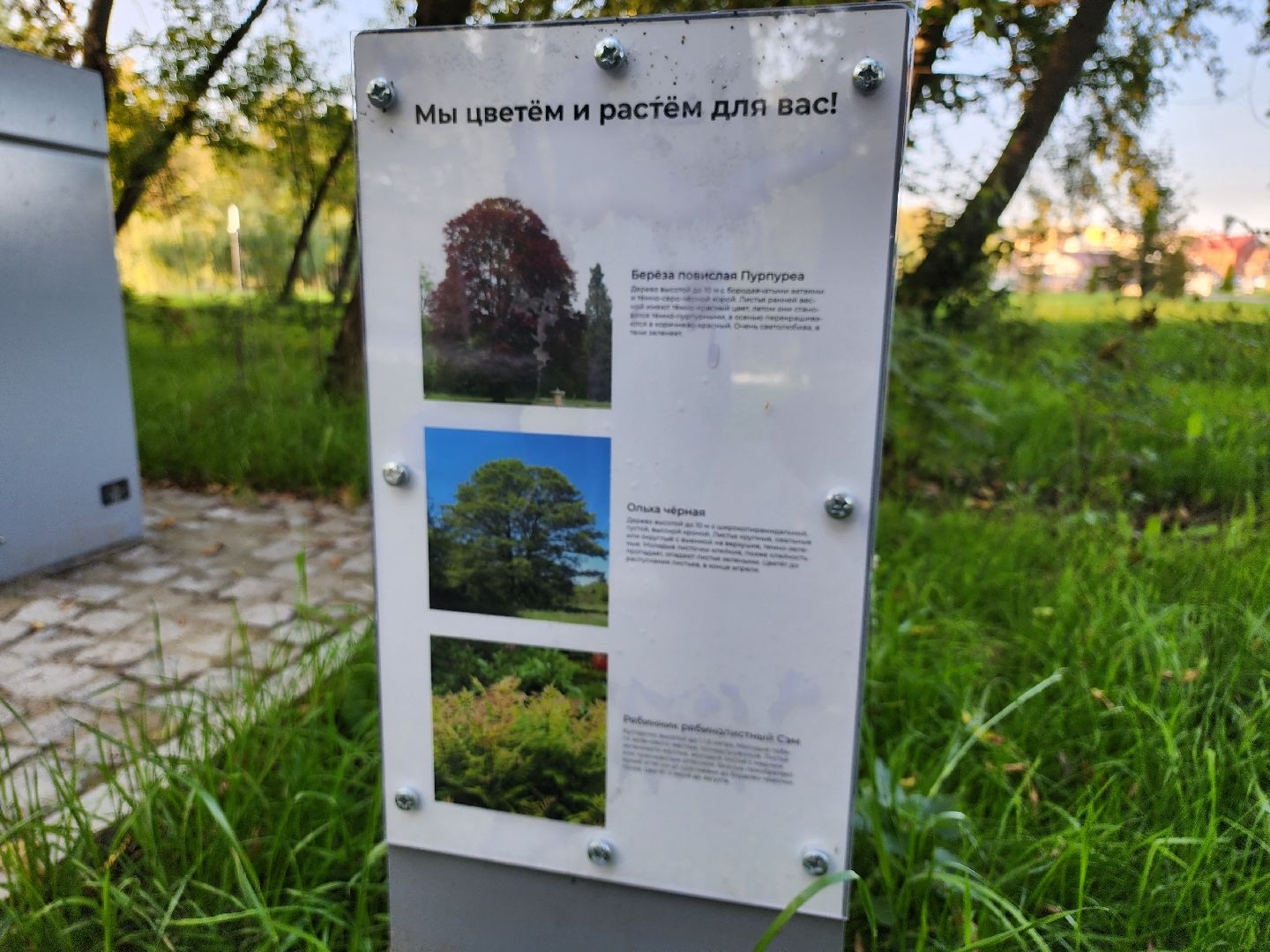 Серпухов, Подмосковье, Принарский парк, туризм, река Нара, Высоцкий монастырь