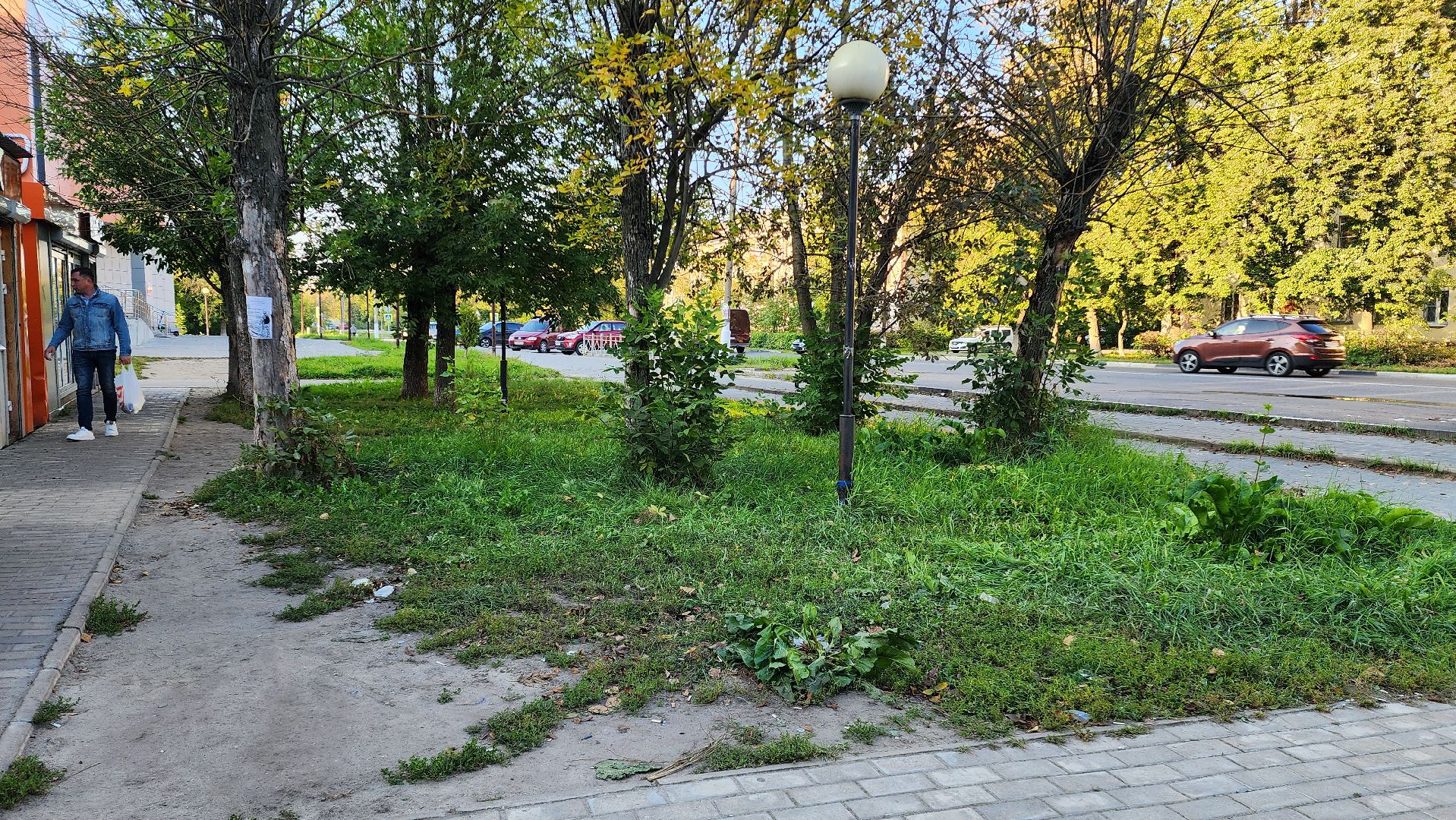 Электросталь, герой, обрез, обезврежен, потасовка