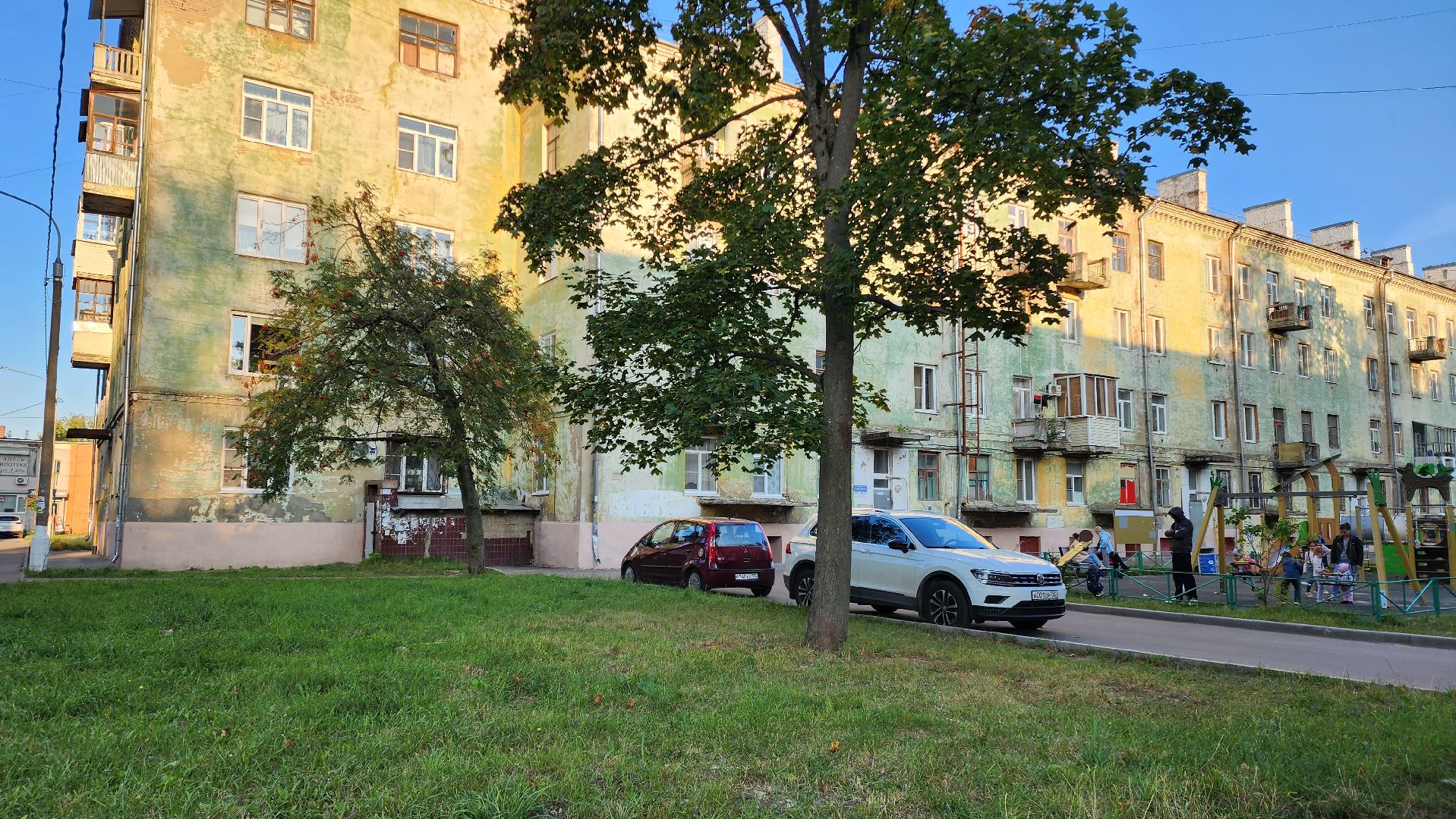 Электросталь, герой, обрез, обезврежен, потасовка