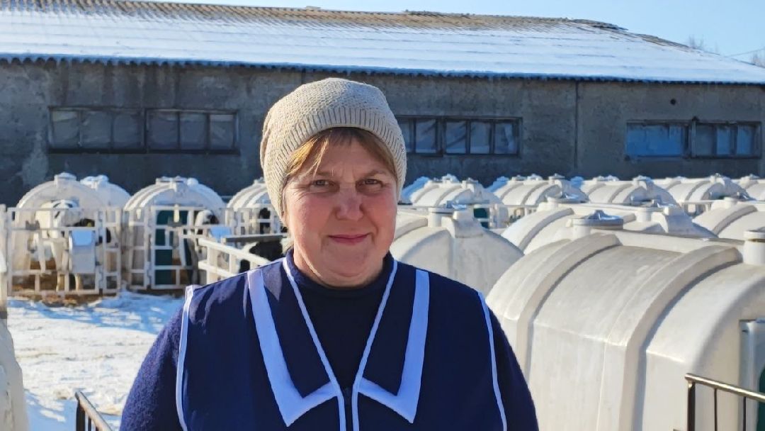 Телята, сельское хозяйство, Серебряные Пруды