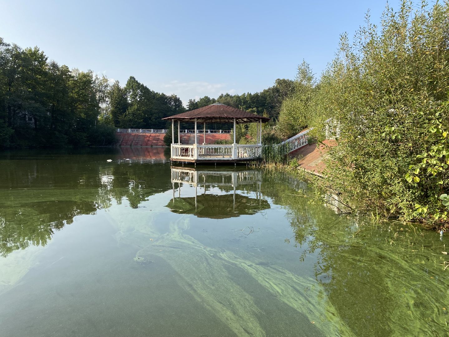 Балашиха, экология, Салтыковская пруды, спасти пруды