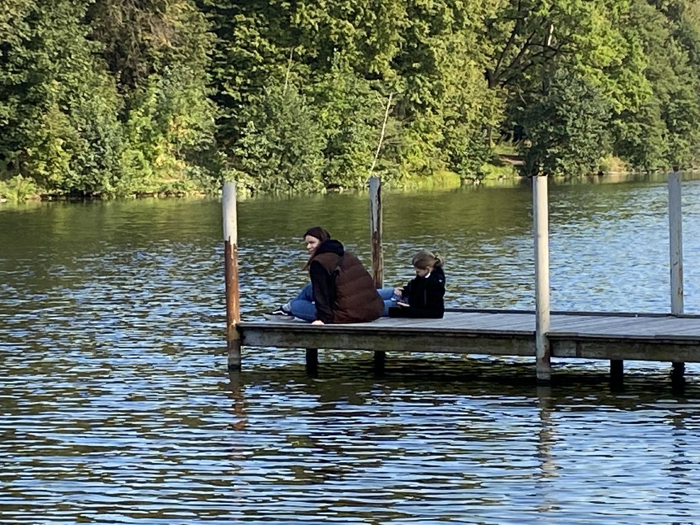 Балашиха, экология, Салтыковская пруды, спасти пруды