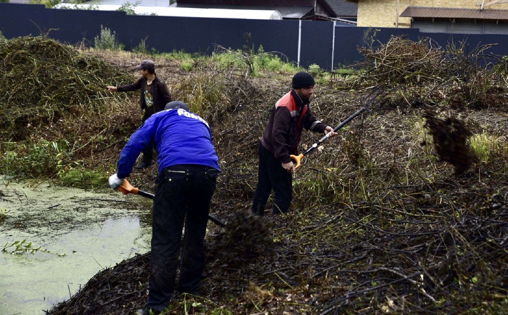 Солнечногорск, очистка, пруд, работа, экология,