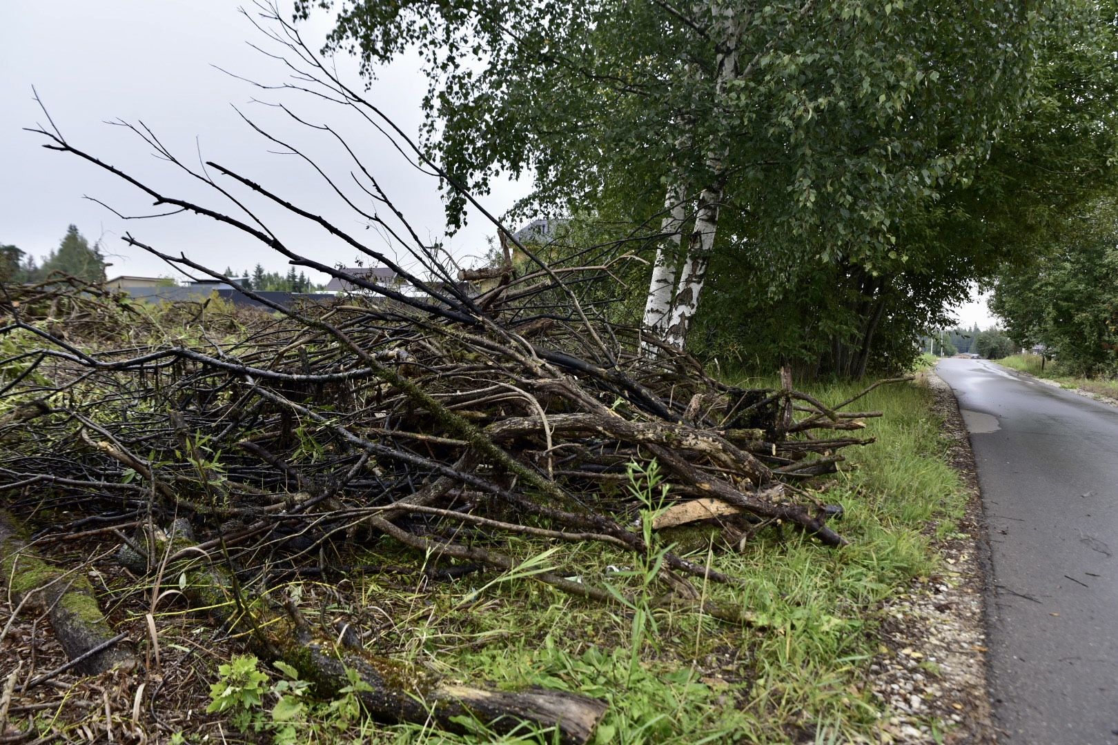 Солнечногорск, очистка, пруд, работа, экология,