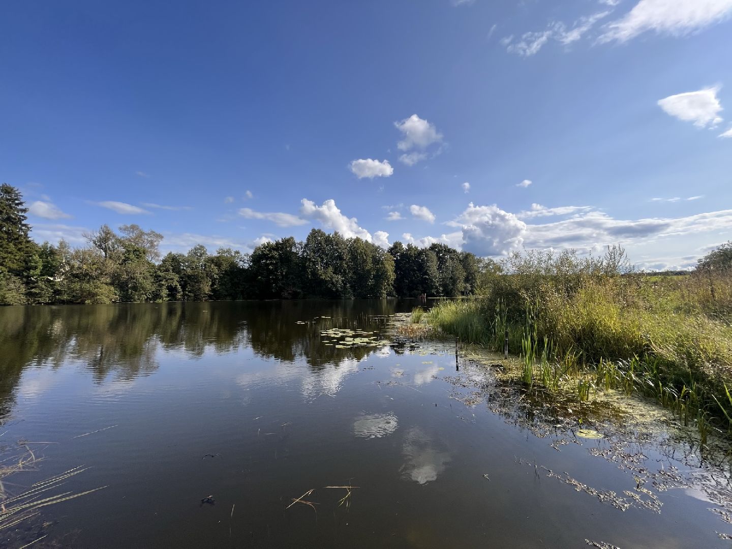 Шаховская, История, деревня