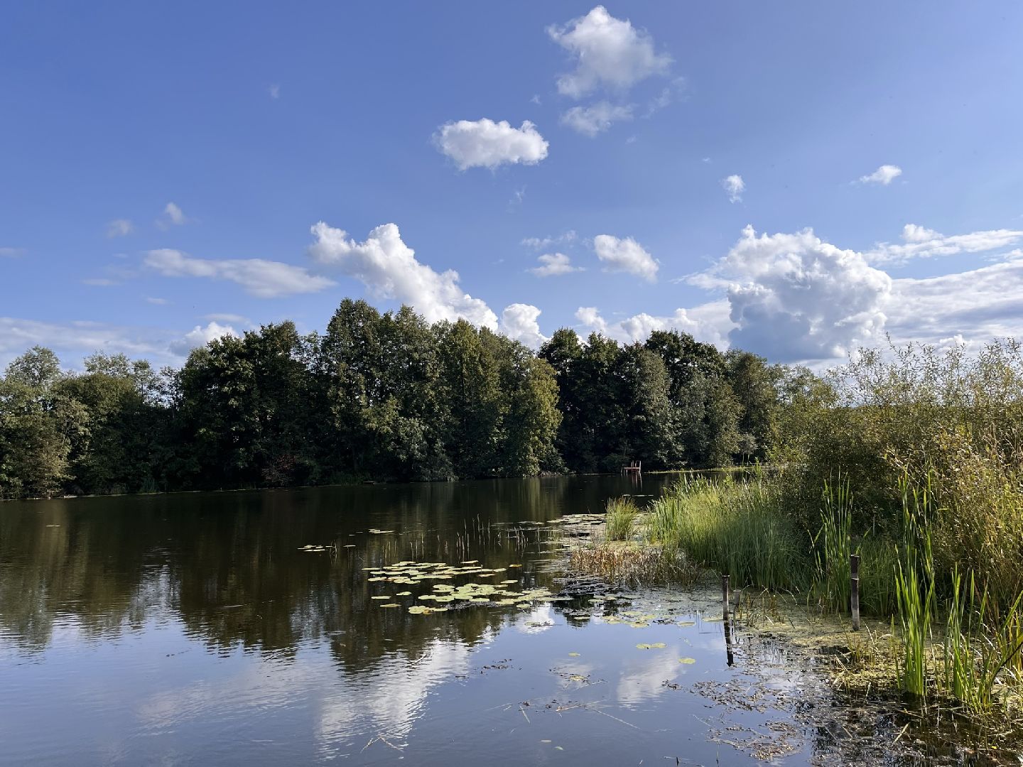 Шаховская, История, деревня