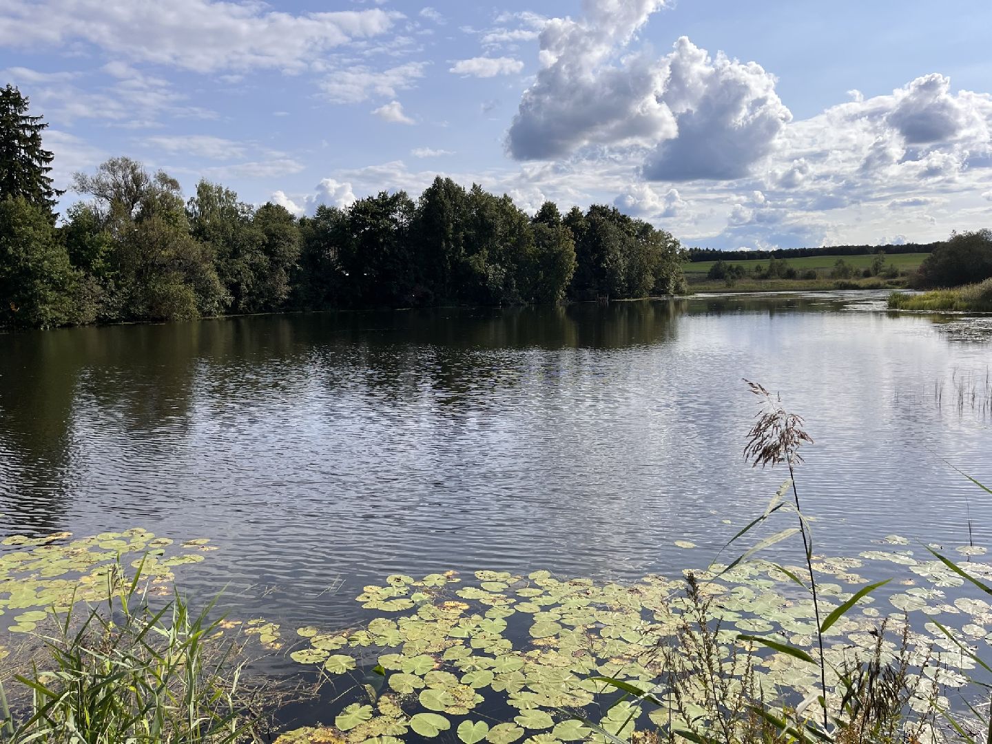 Шаховская, История, деревня