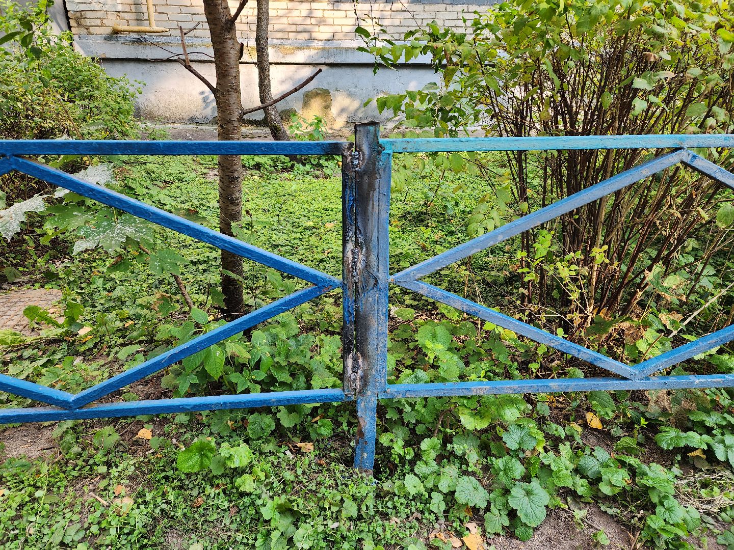 пушкино, благоуйстройство, уборка дворов, ремонт,