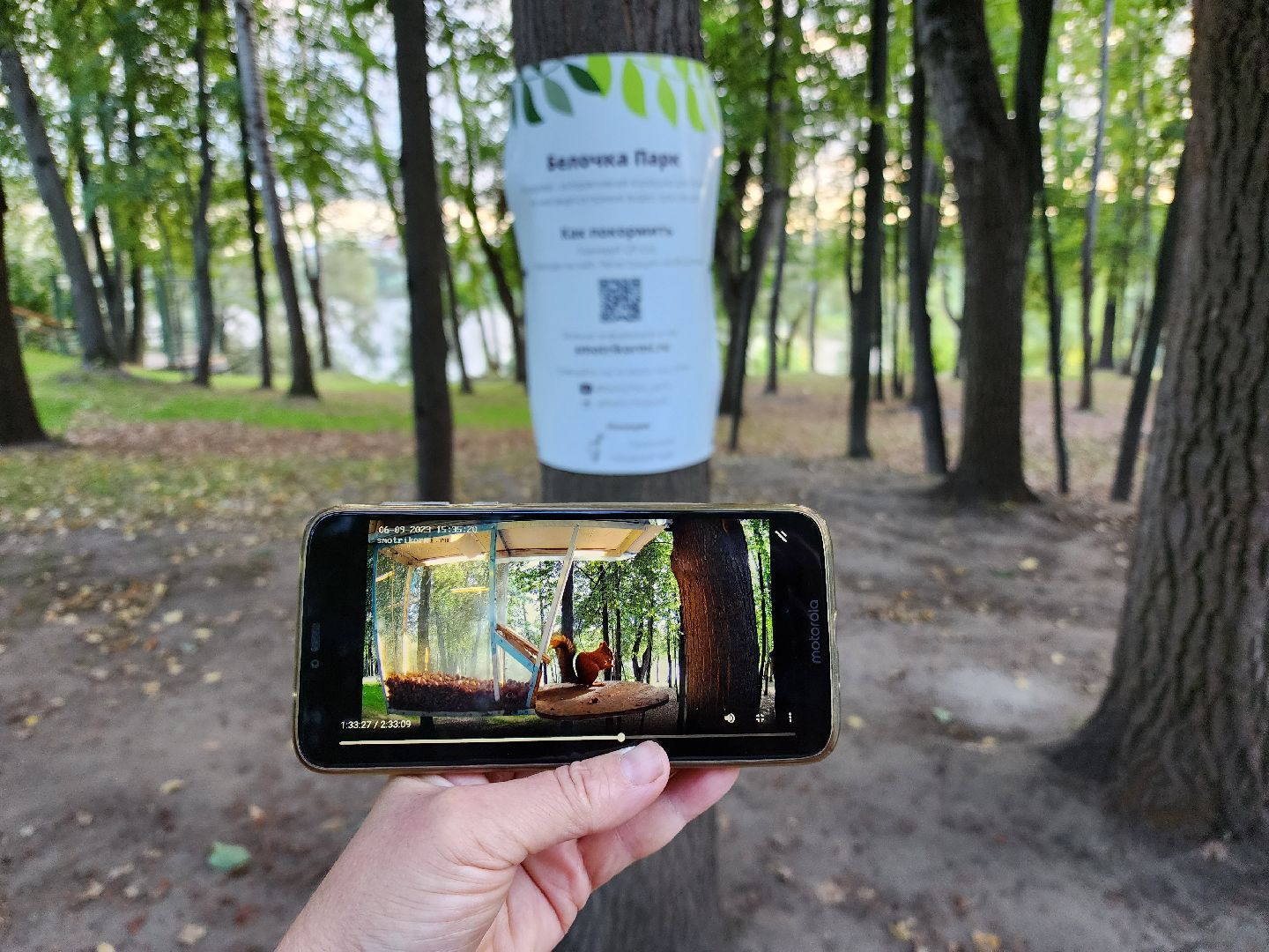 Раменское, благоустройство, Раменский городской парк, интерактивная кормушка для белок