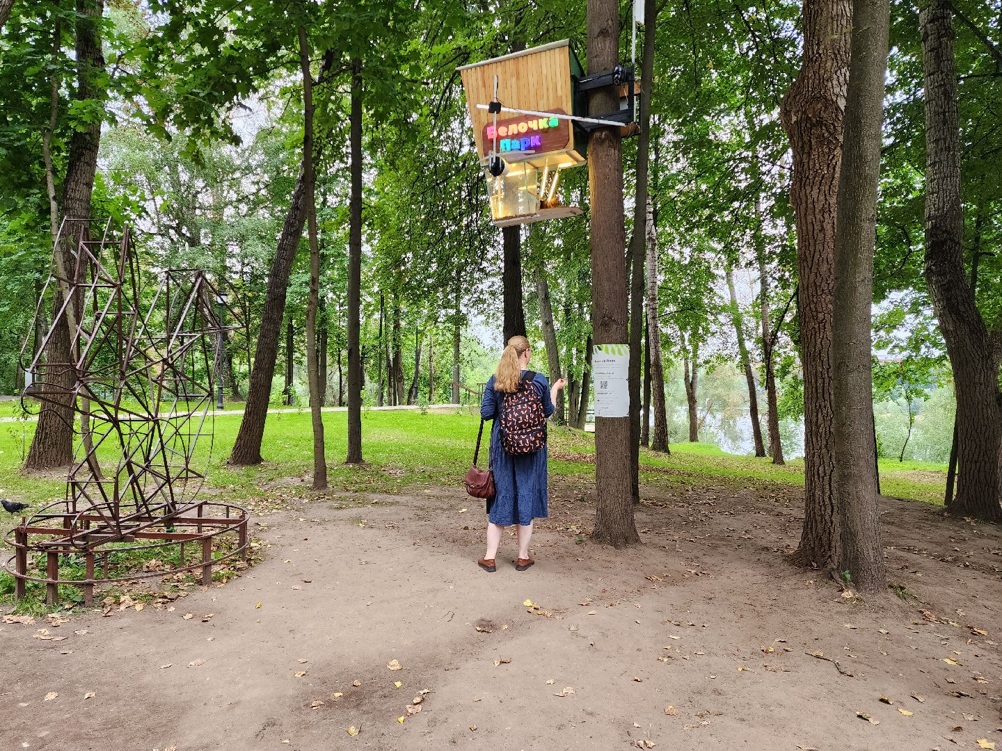 Раменское, благоустройство, Раменский городской парк, интерактивная кормушка для белок