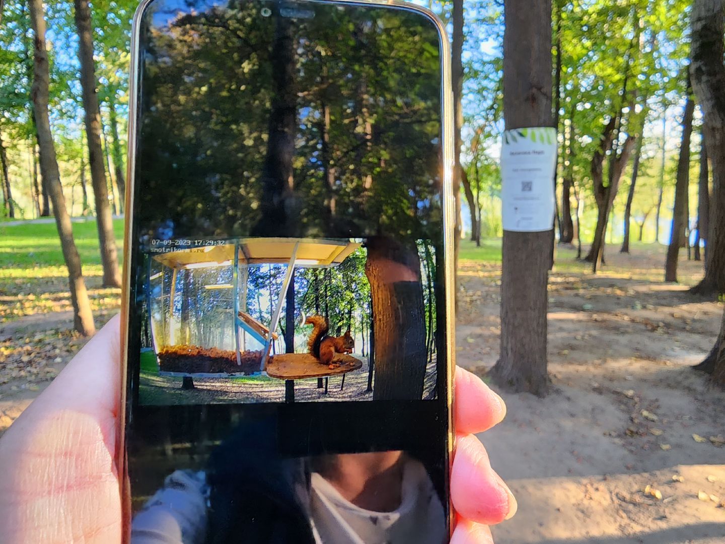 Раменское, благоустройство, Раменский городской парк, интерактивная кормушка для белок