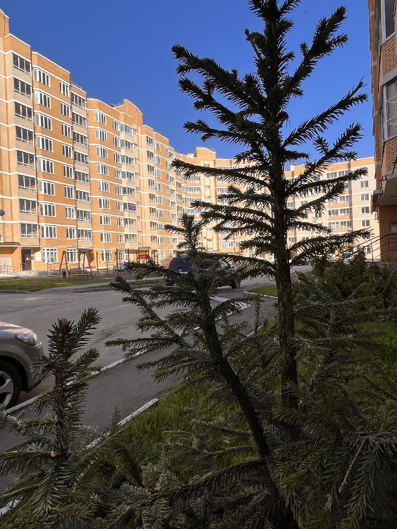 наш лес, экологическая акция, экология, руза, рузский городской округ, московская область, подмосковье, губернатор воробьев,