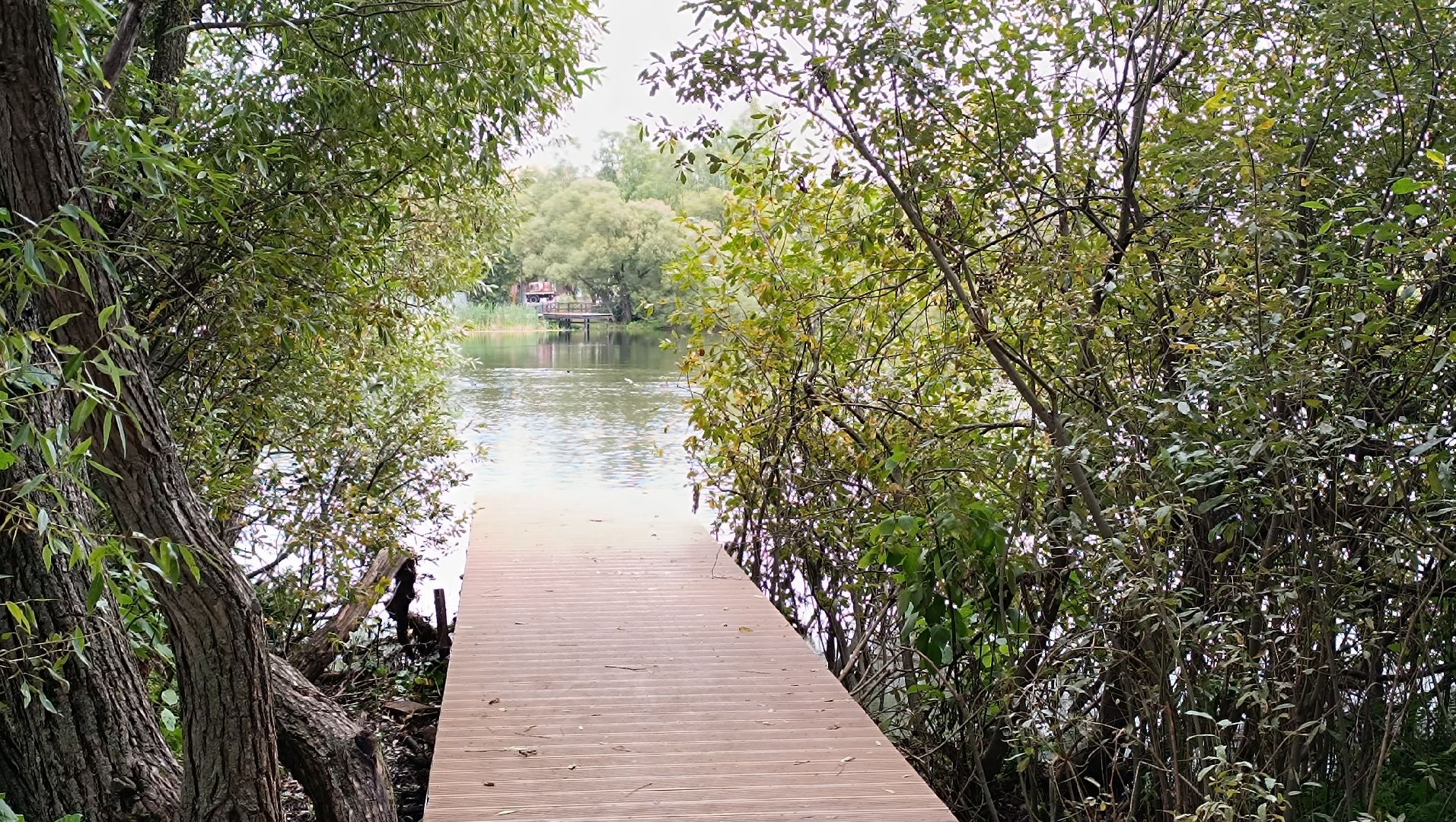 Лобня, благоустройство, парк