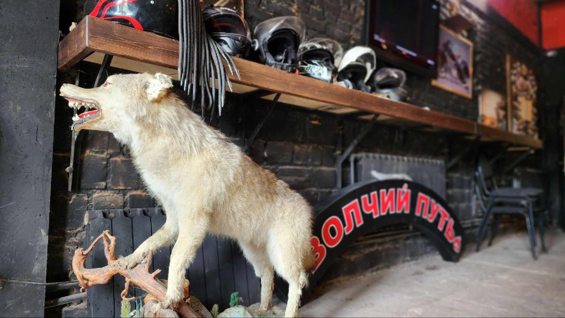 Дмитров, Мотоклуб Ночные волки, Волонтеры