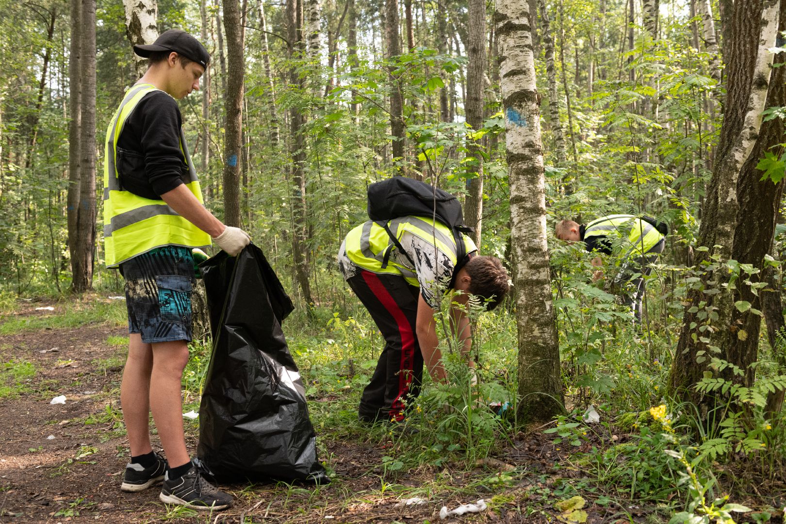 лыткарино, уборка, волкуша, лес, карьер